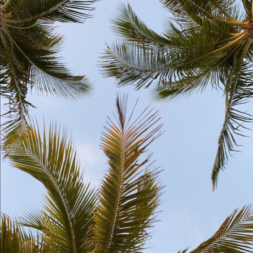 Meet your Posher, Lourdes